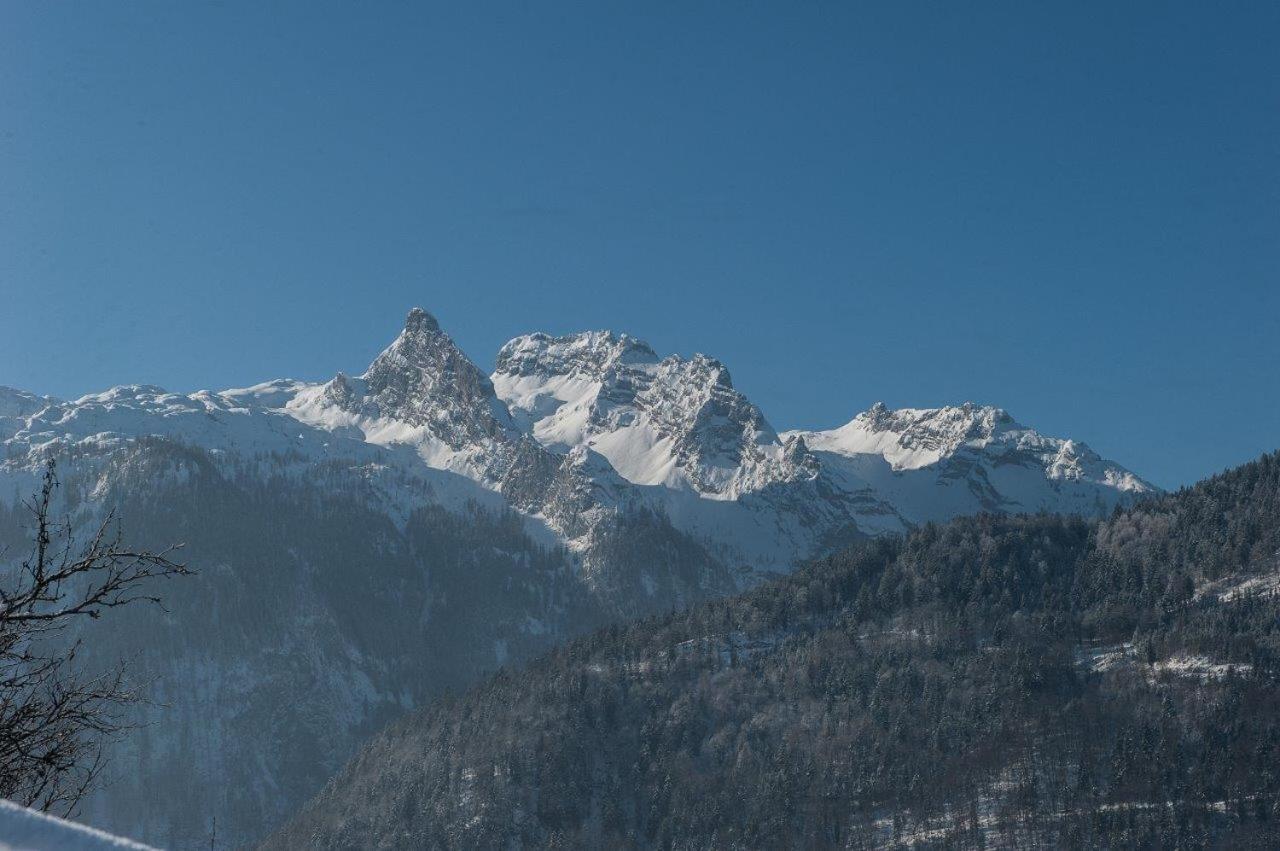 Haus Sonnblick Appartement Abtenau Buitenkant foto