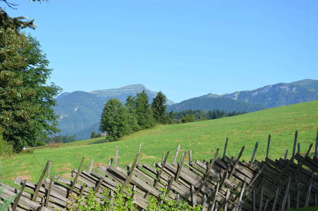 Haus Sonnblick Appartement Abtenau Buitenkant foto