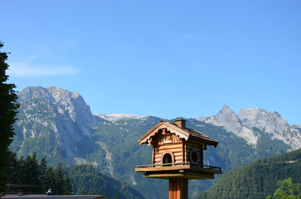 Haus Sonnblick Appartement Abtenau Buitenkant foto